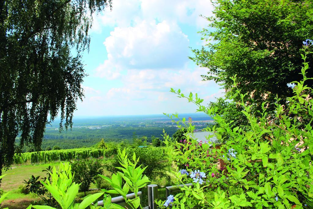 Schoene Aussicht Alzenau in Unterfranken Exteriér fotografie