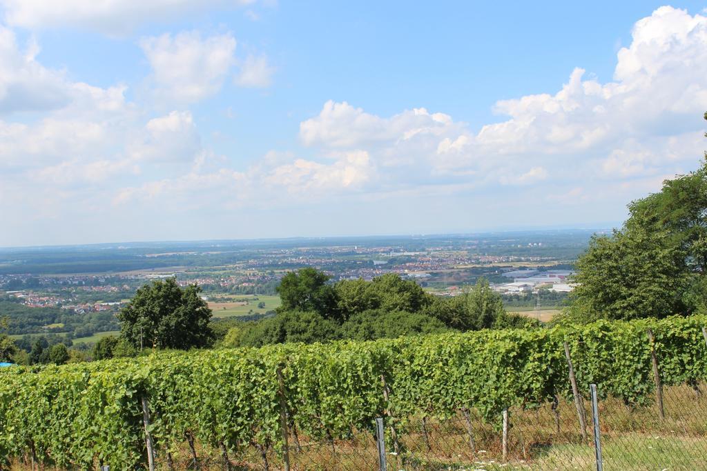 Schoene Aussicht Alzenau in Unterfranken Exteriér fotografie