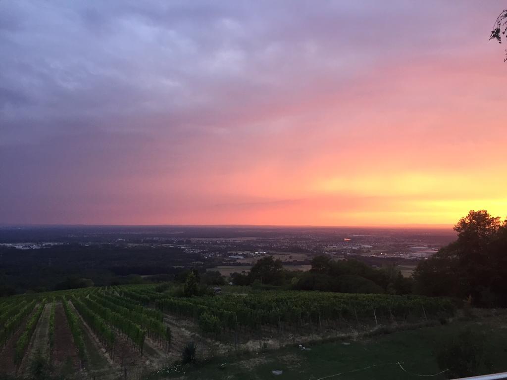 Schoene Aussicht Alzenau in Unterfranken Exteriér fotografie